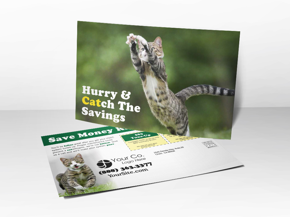 'Hurry & Catch The Savings' Cute Kitten Postcard - Front & Back