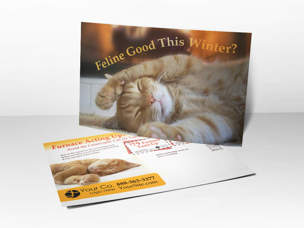 'Feline Good This Winter' Warm Kitty Postcard - Front & Back