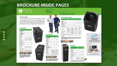 'Brochure Inside Pages' Green Graphic