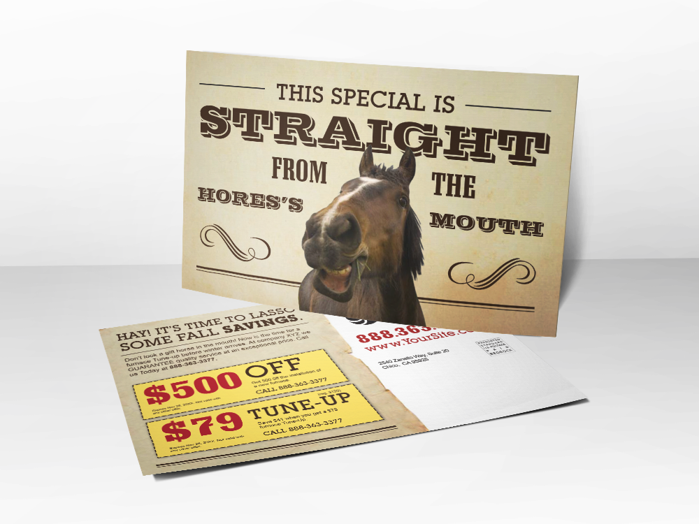 'Straight From The Horses Mouth' HVAC Postcard